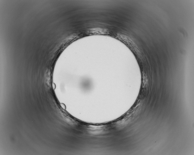 X0000112040457200909141120