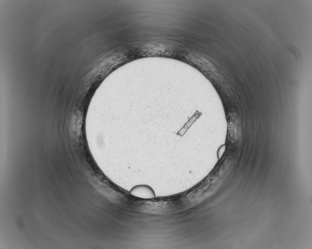 X0000112040458200909141120