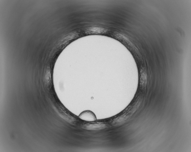 X0000112040459200909141120