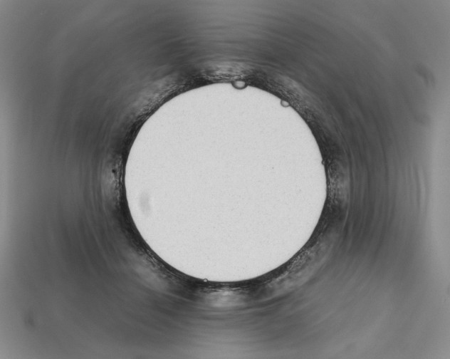 X0000112040460200909141120
