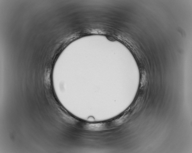 X0000112040461200909141120