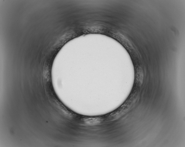 X0000112040465200909141121