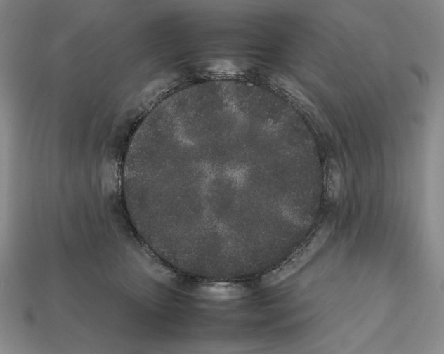 X0000112040467200909141121