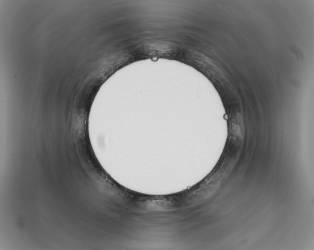 X0000112040468200909141121