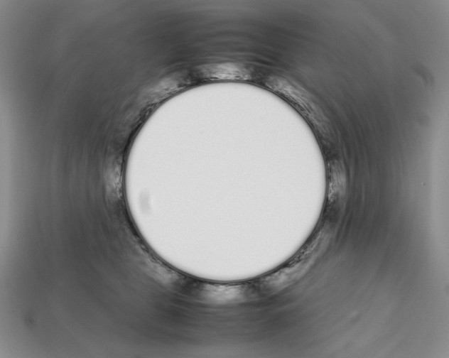 X0000112040469200909141121