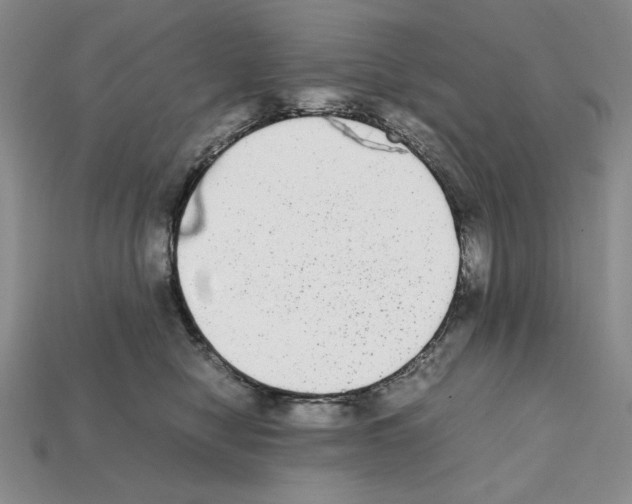 X0000112040470200909141121