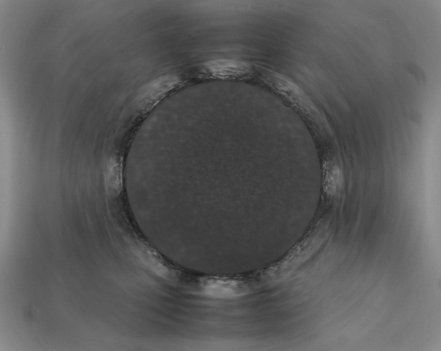 X0000112040471200909141121