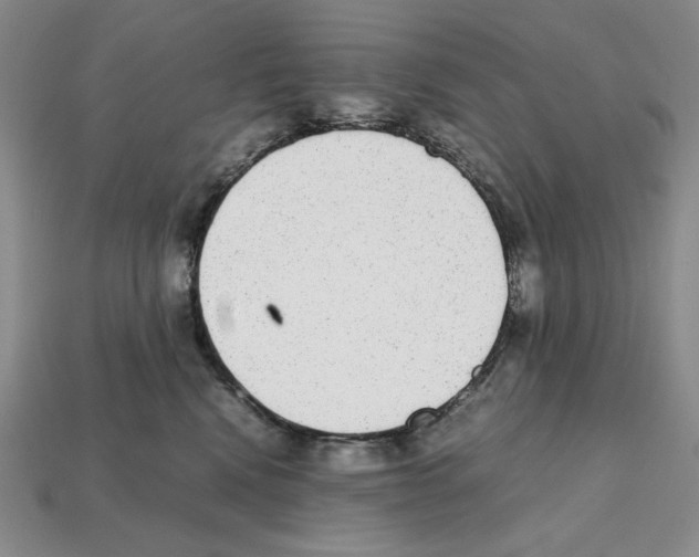 X0000112040472200909141121