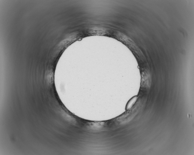 X0000112040474200909141121