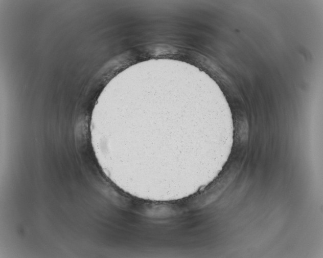 X0000112040475200909141121