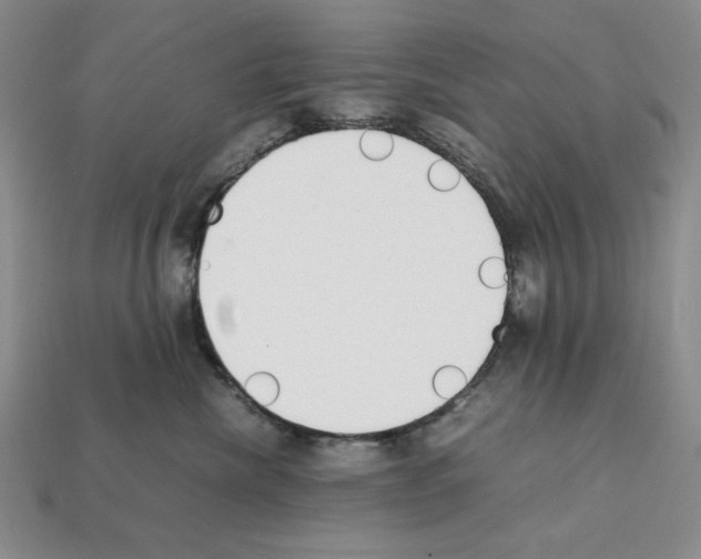 X0000112040476200909141121