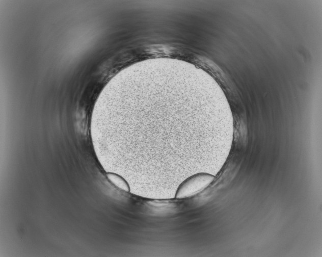 X0000112040477200909141121