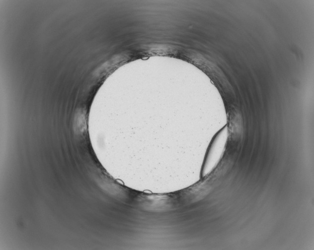 X0000112040478200909141121