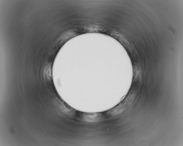 X0000112040479200909141121