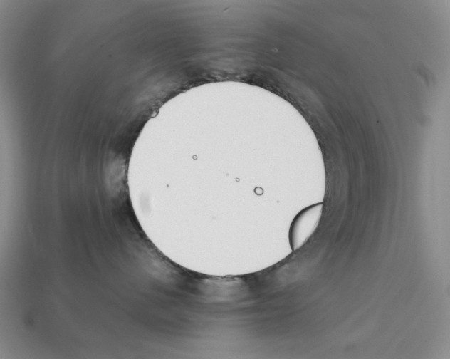 X0000112040480200909141121