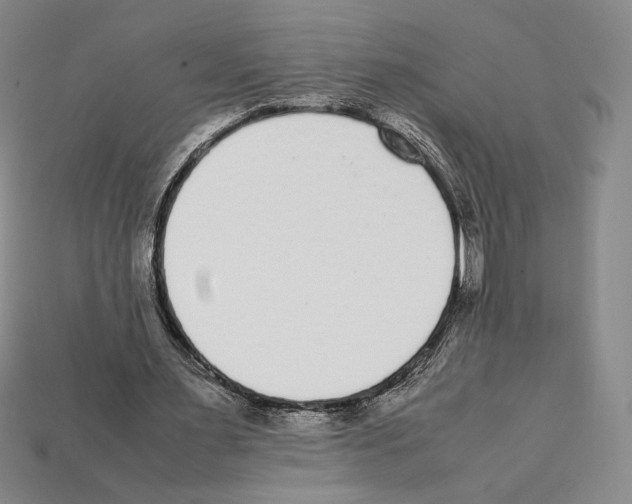 X0000112040483200909141120