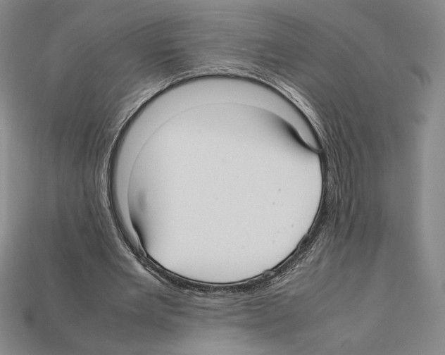 X0000112040485200909141120