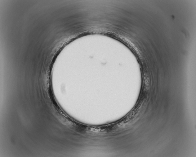 X0000112040487200909141120