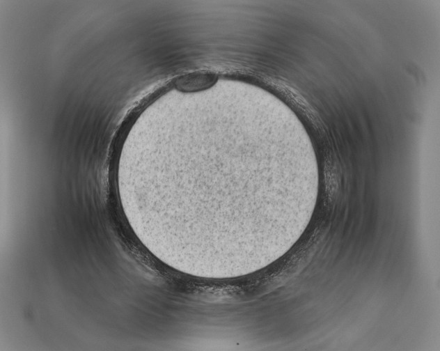 X0000112040488200909141120