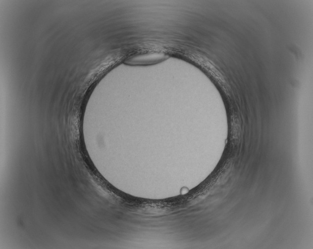 X0000112040489200909141120