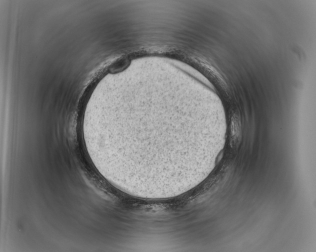 X0000112040492200909141120