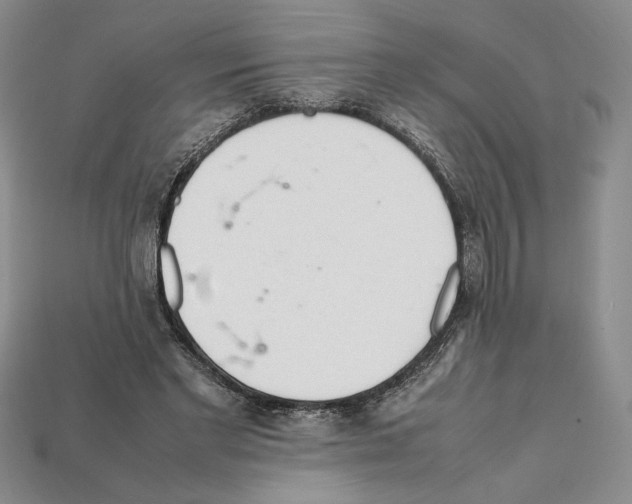 X0000112040493200909141120