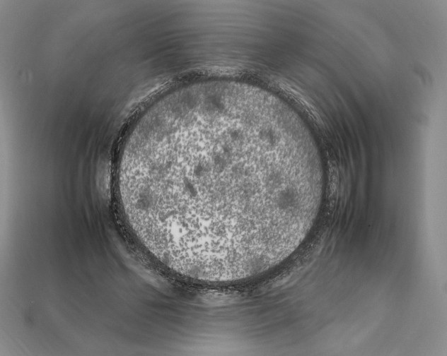 X0000112040494200909141120