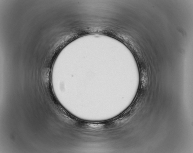 X0000112040495200909141120