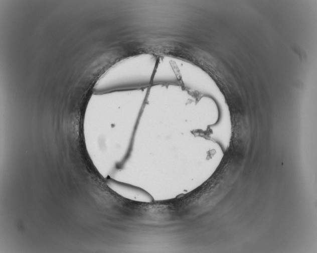 X0000112040501200909141120