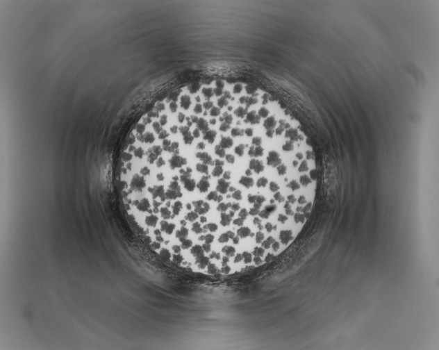X0000112040502200909141120