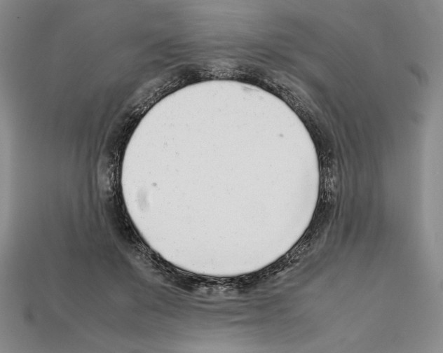 X0000112040503200909141120