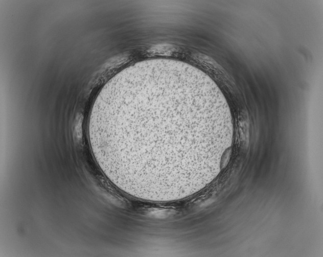 X0000112040504200909141120