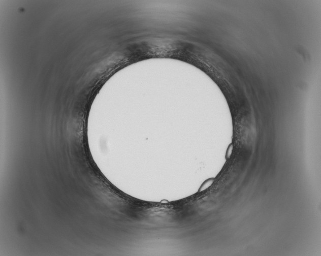 X0000112040505200909141120