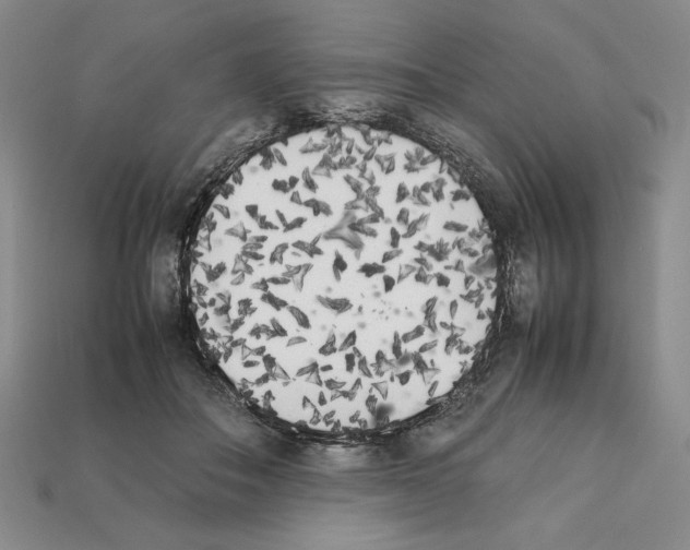 X0000112040506200909141120