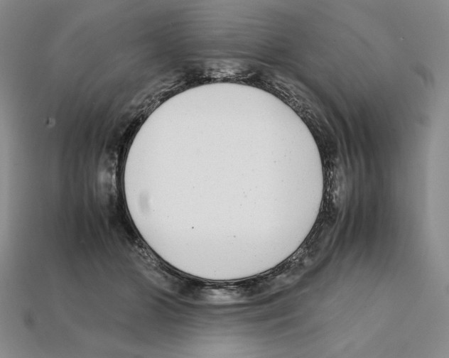 X0000112040510200909141120