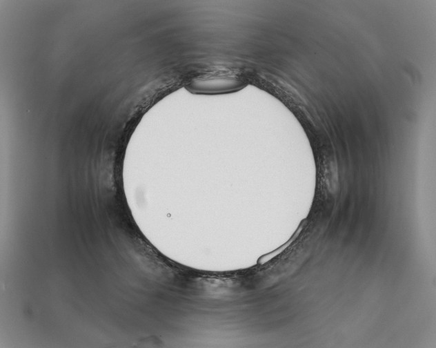 X0000112040512200909141120