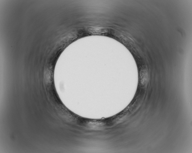 X0000112040515200909141120