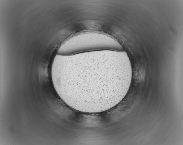 X0000112040516200909141120