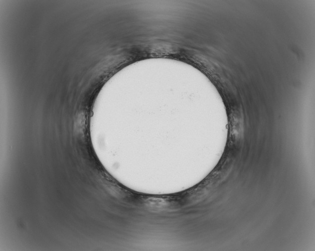 X0000112040519200909141120