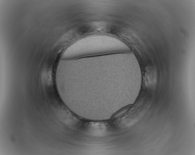 X0000112040520200909141120