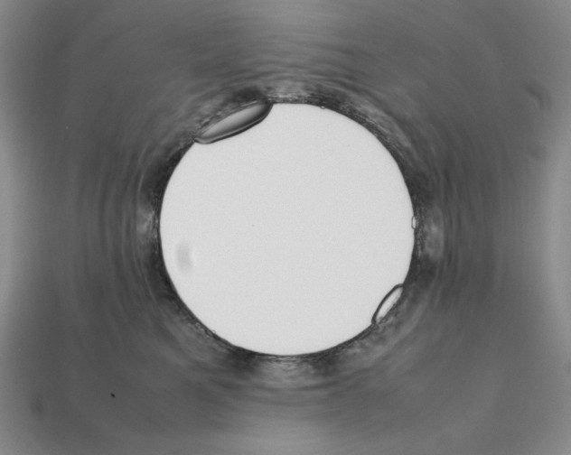 X0000112040521200909141120