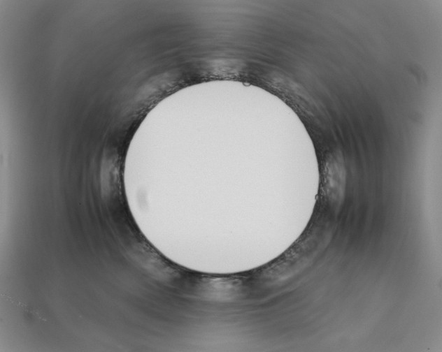X0000112040522200909141120