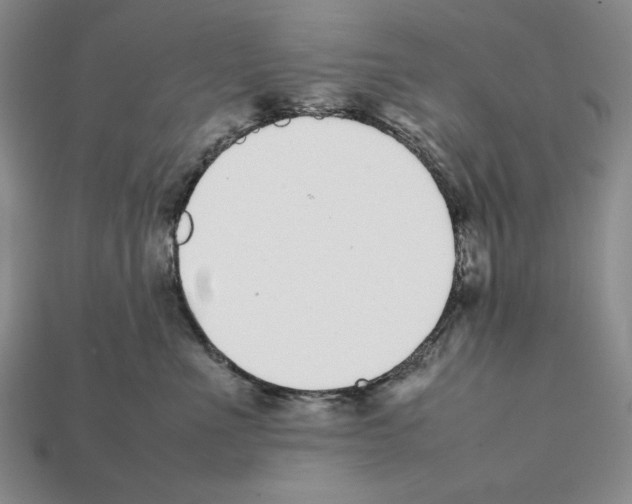 X0000112040523200909141120
