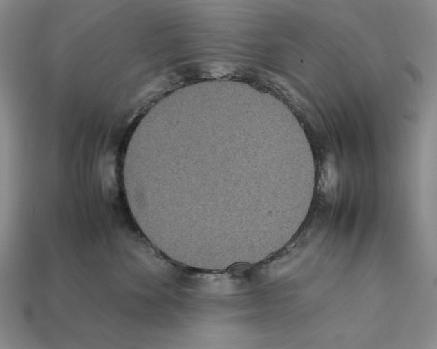 X0000112040524200909141120