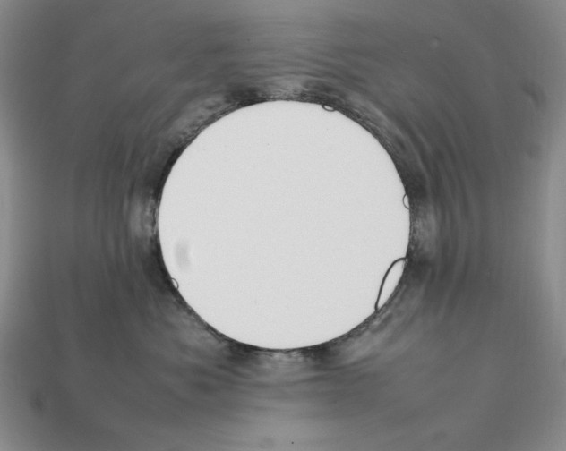 X0000112040525200909141120