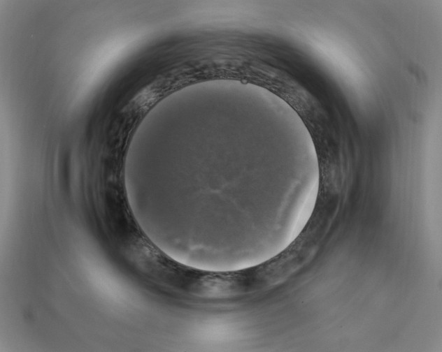 X0000112040526200909141120