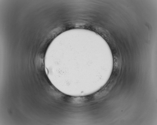 X0000112040527200909141119
