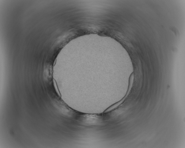 X0000112040528200909141119