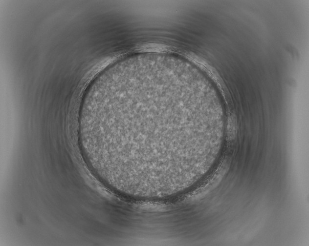 X0000112040529200909141119
