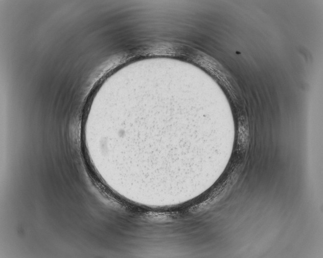 X0000112040534200909141119